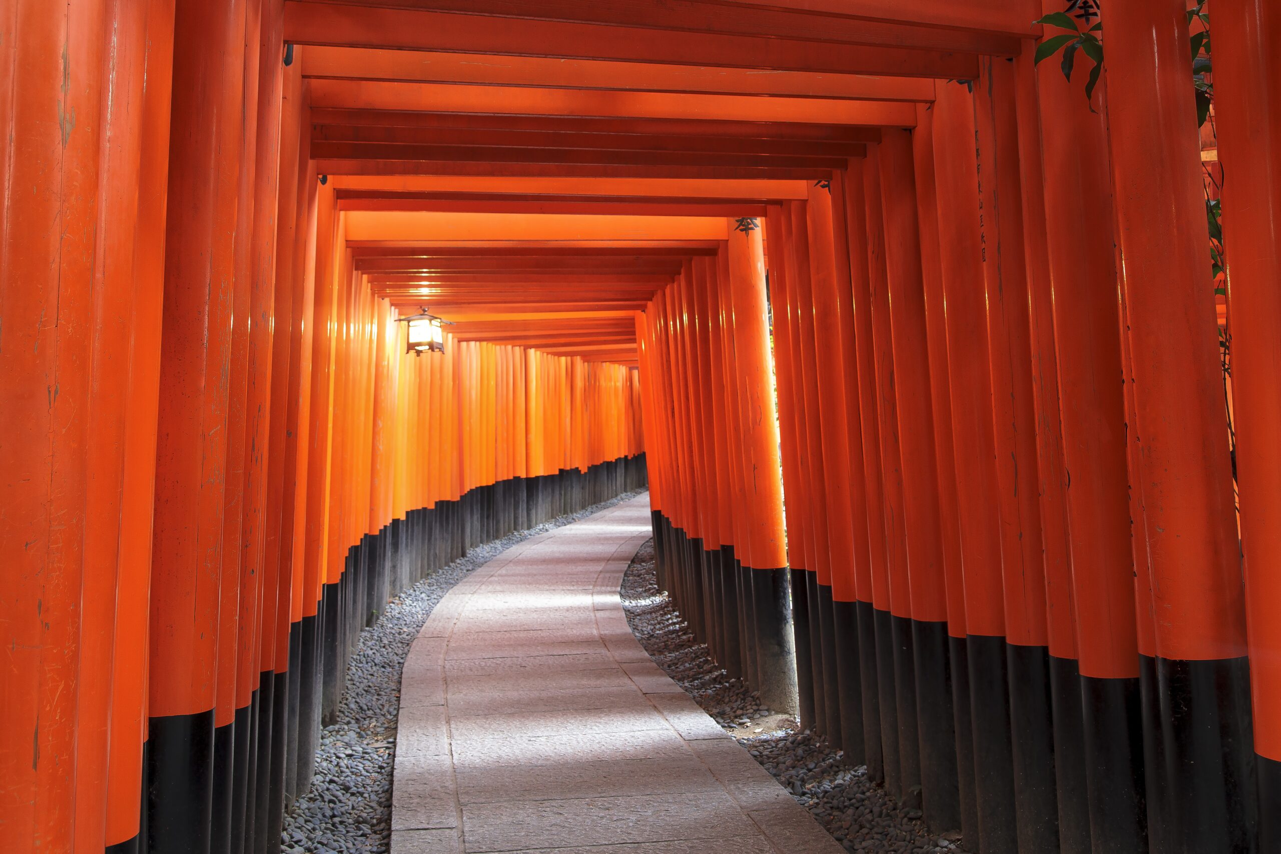 Kyoto Bus Tour: Fushimi, Kiyomizu, Kinkaku-ji & Arashiyama