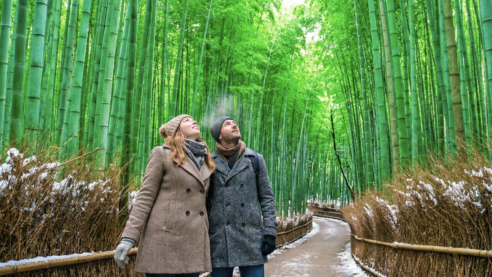 Kyoto: Arashiyama Unveiled – Bamboo, Temple, Matcha, Monkeys