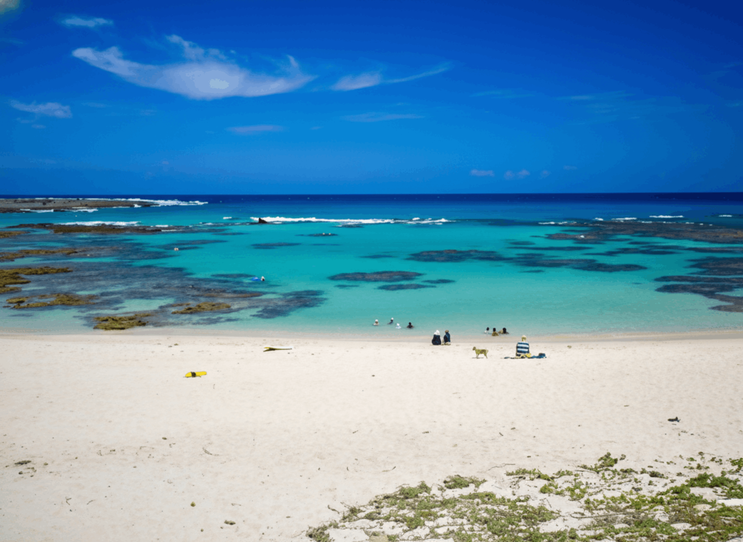 Amami Oshima Island Private Custom Tour with Local Guide