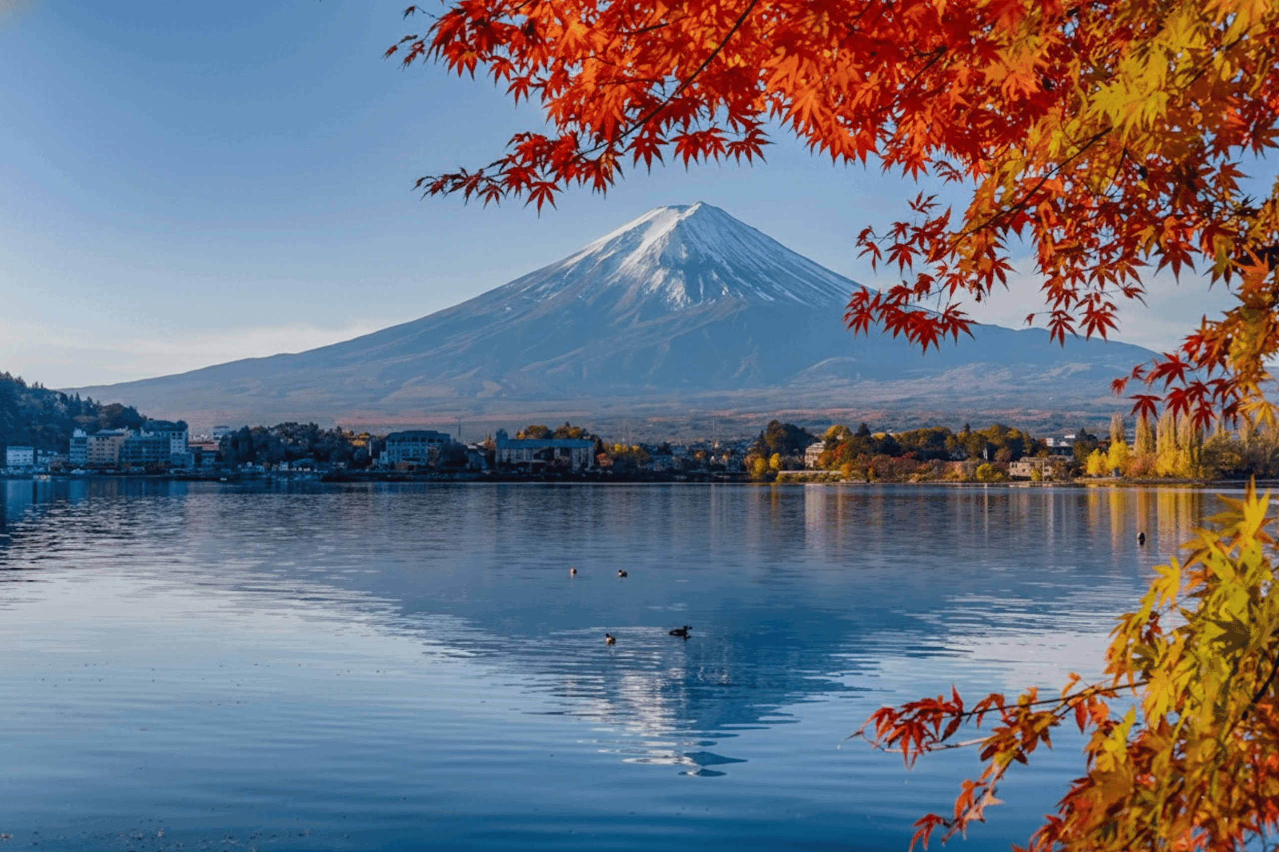 From Tokyo Mt Fuji and Kawaguchi and Oshino Hakkai Bus Tour