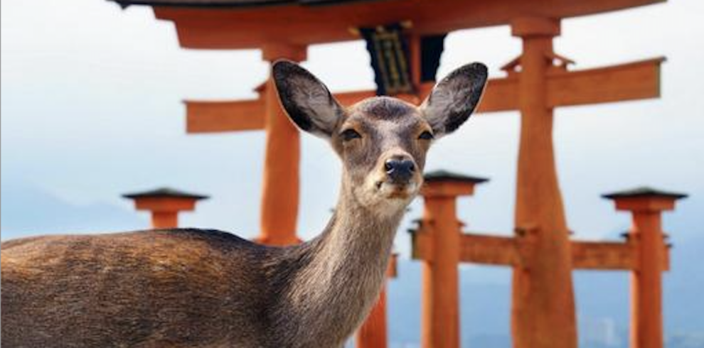 広島_1