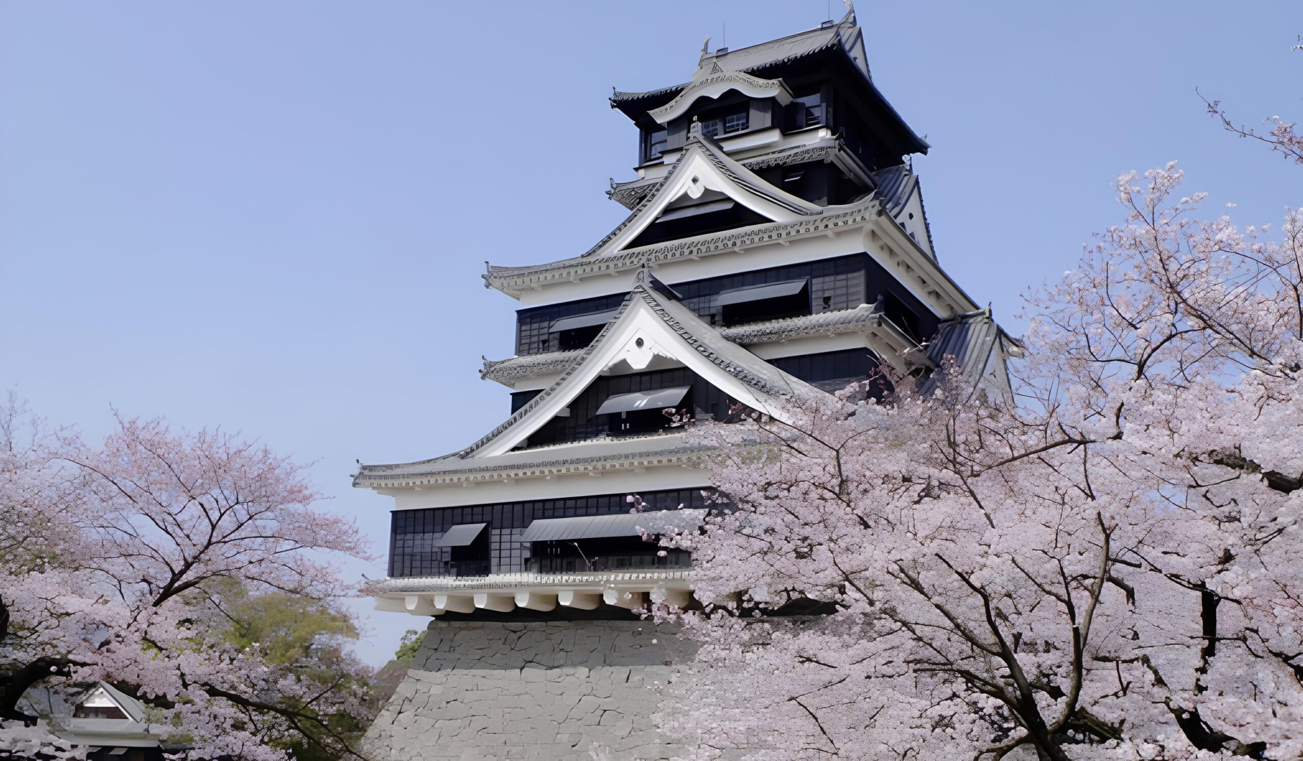 Kumamoto: Samurai Heritage Private Tour with Local Guide