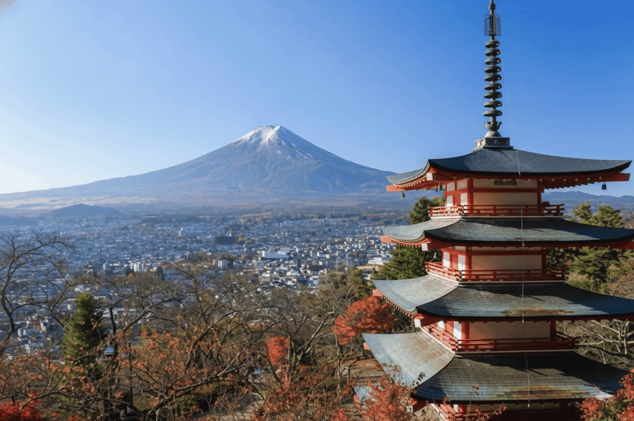 From Tokyo: Private Mt. Fuji Van Tour
