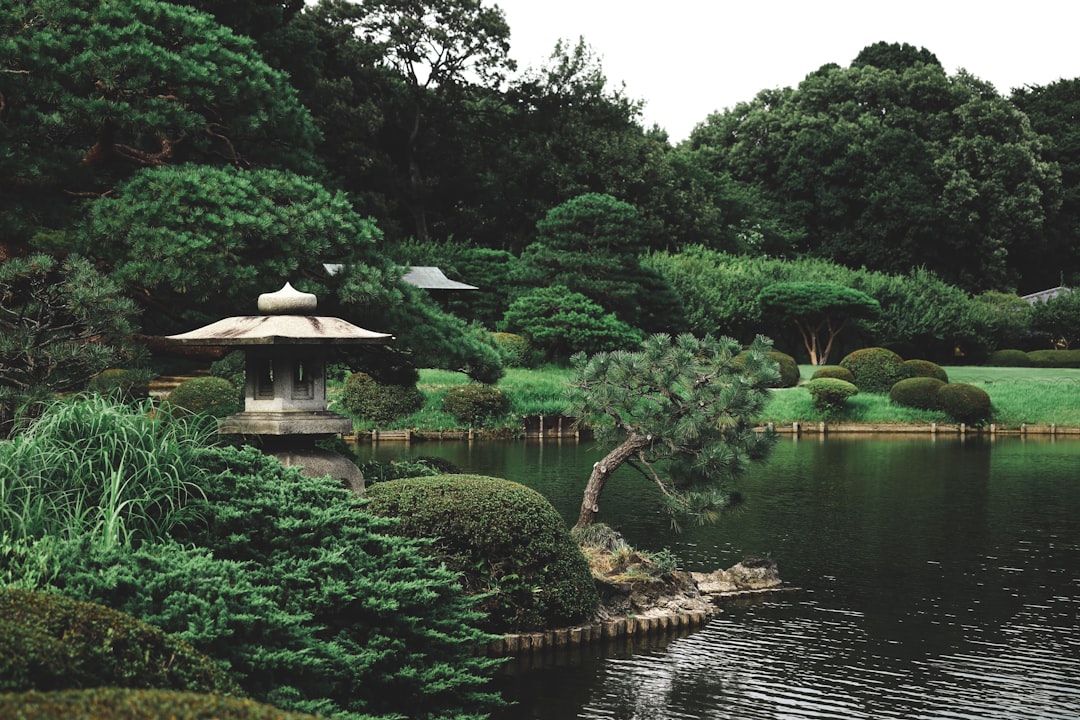 The Green Spaces and Shrines — Japan travel