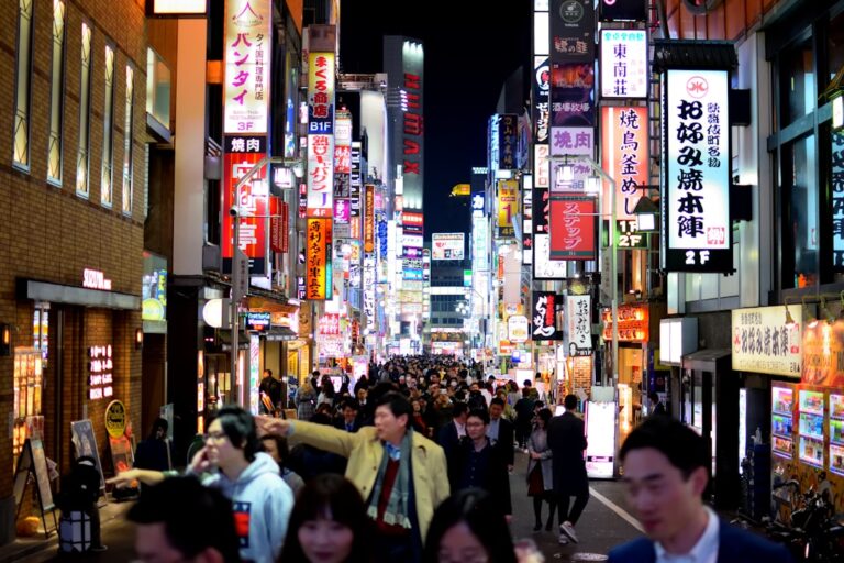 ：Kabukicho Tokyo entertainment district night Godzilla