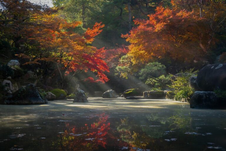 ：early autumn leaves japan october hokkaido daisetsuzan