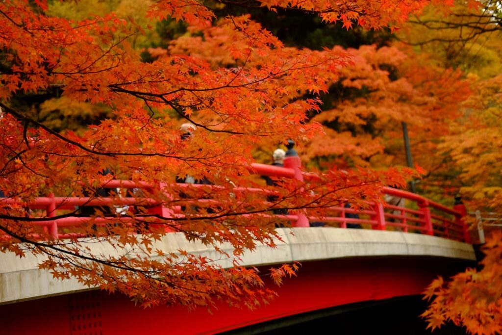 :Nikko autumn leaves Japan