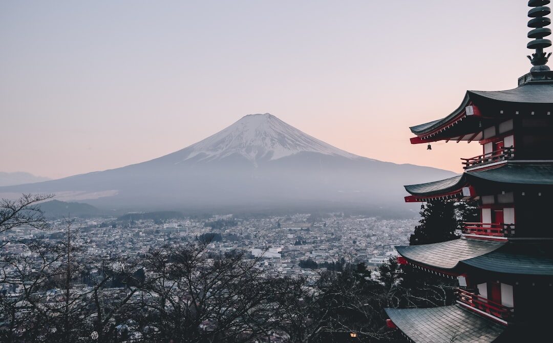 Tokyo Nightlife: A Safety Guide to the City’s Entertainment Districts