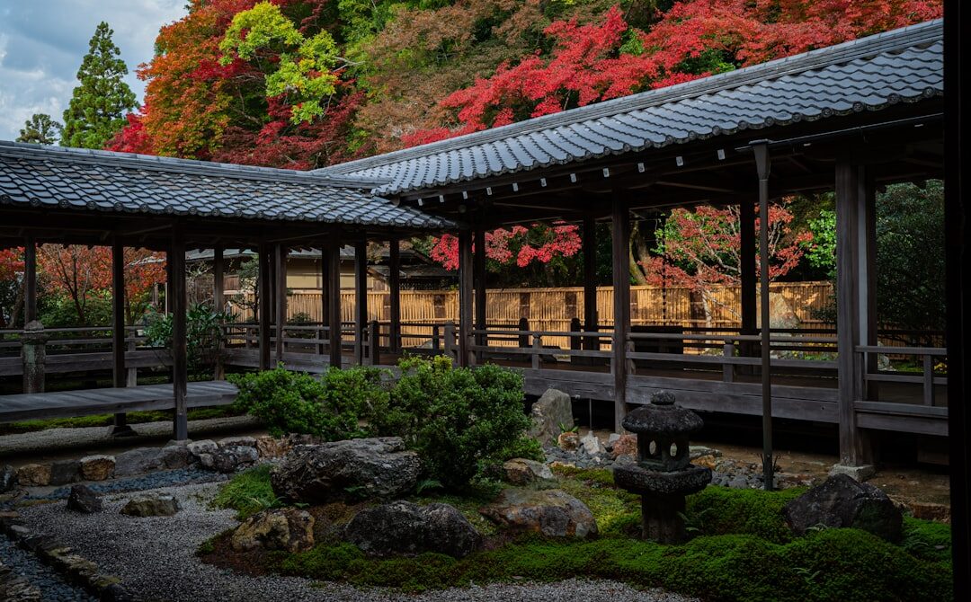 Japan Autumn Leaves: Best Spots, Peak Timing, and What Most Visitors Get Wrong