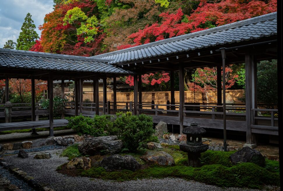 ：best places to see autumn leaves japan