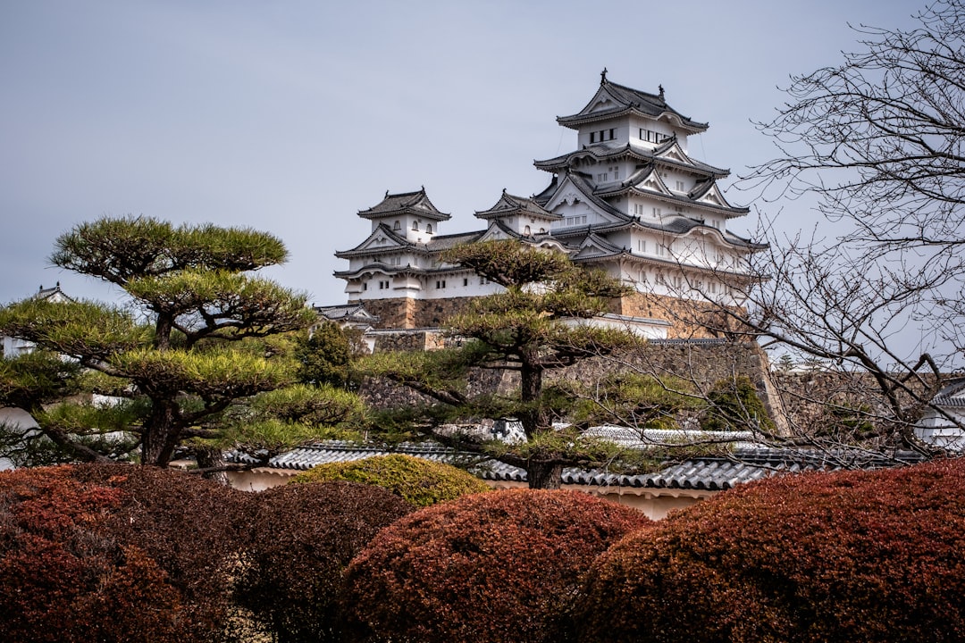 The Original Twelve Surviving Castles — Japan travel