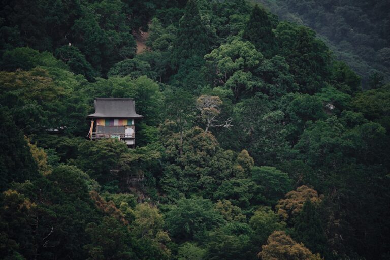 ：best ryokan in japan private rotenburo mountain view