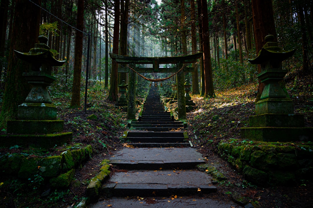 Temple Stays: Experiencing Monastic Life — Japan travel