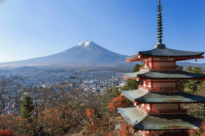 Mt. Fuji Van Tour