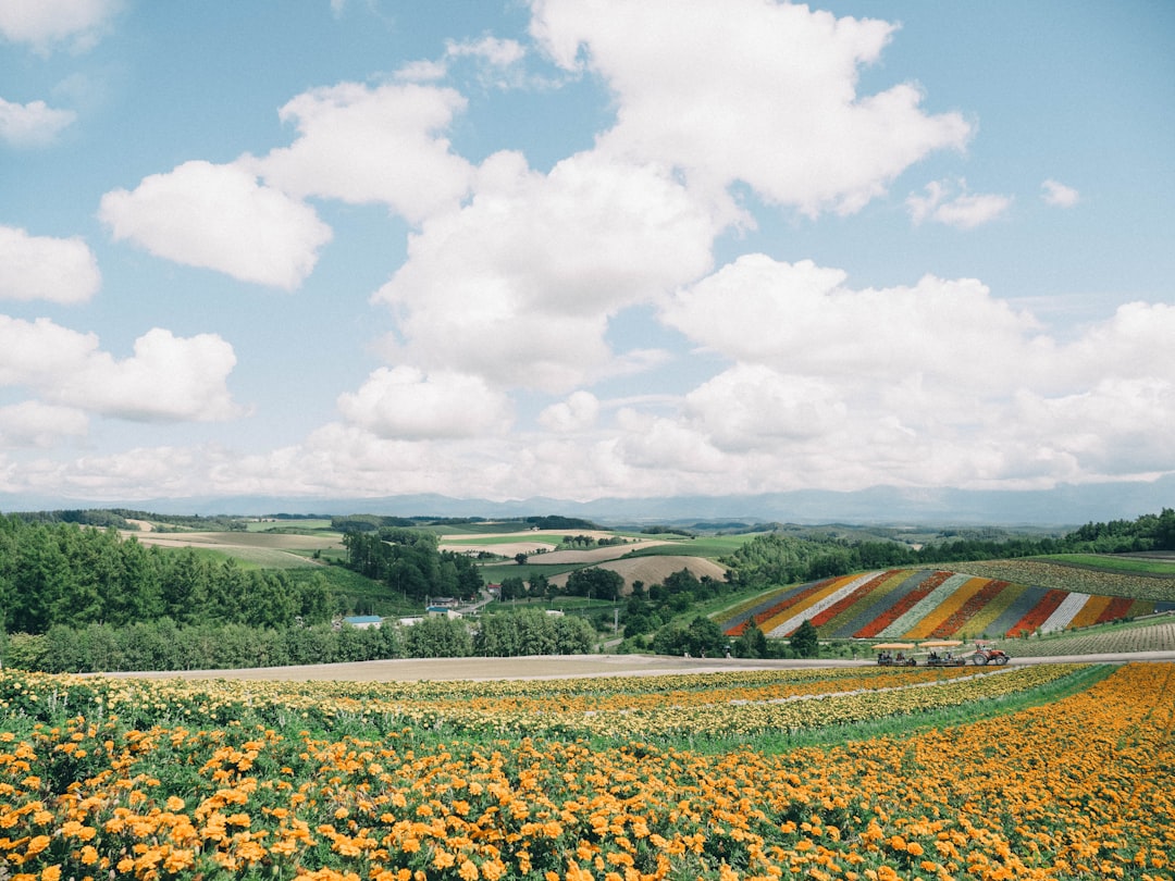 Savoring Hokkaido's Rich Harvests — Japan travel