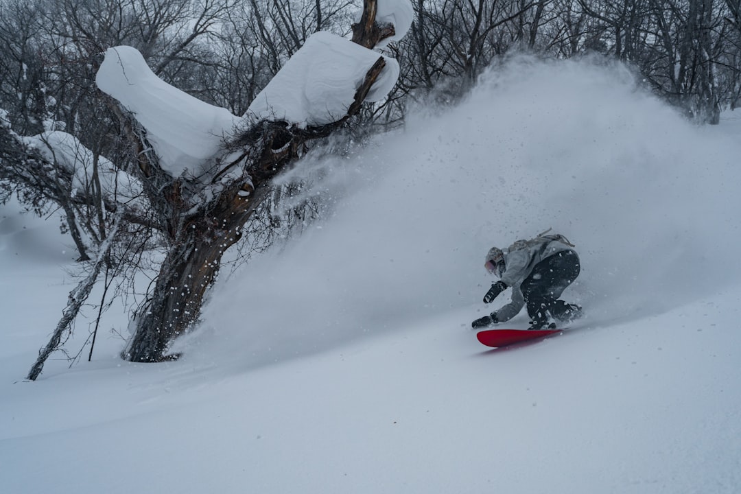 Choosing the Right Board for Deep Powder — Japan travel