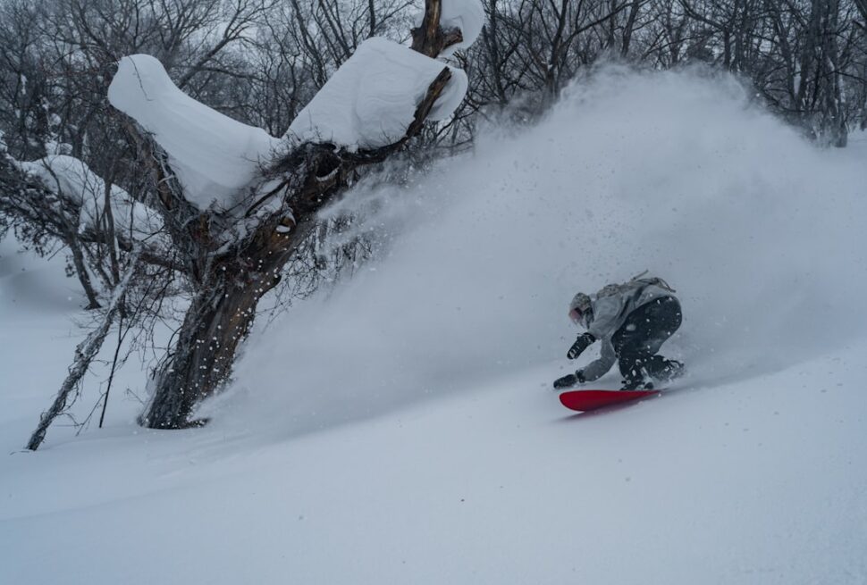 ：japan ski resorts powder snow tree run