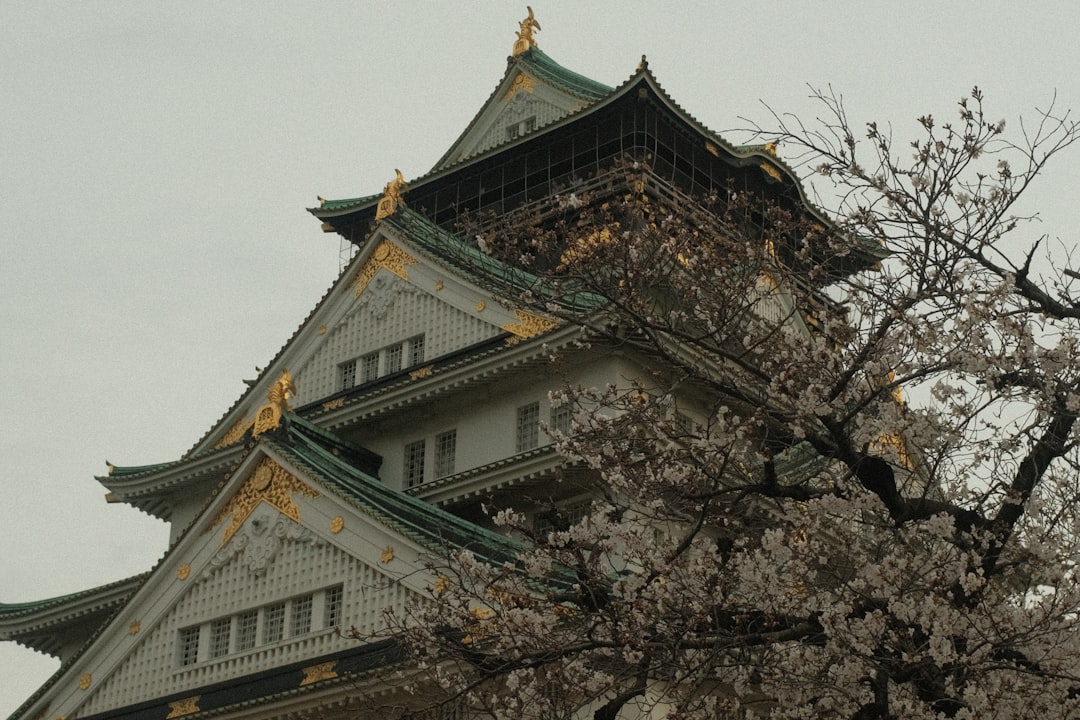 Kintsugi: Repairing with Gold — Japan travel
