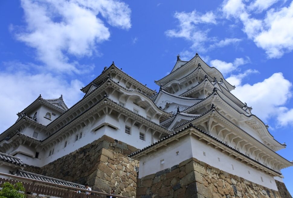 ：japan castle himeji white heron keep cherry blossom