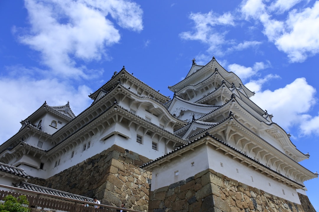 ：japan castle himeji white heron keep cherry blossom