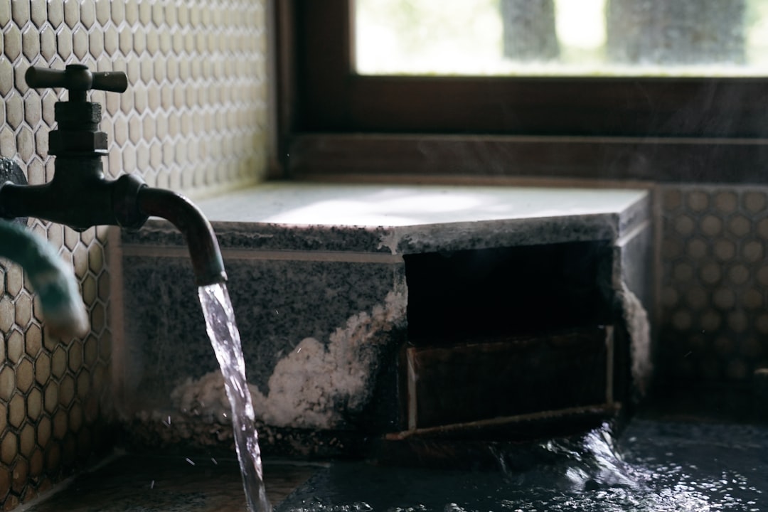 The Shared Showers and Baths — Japan travel