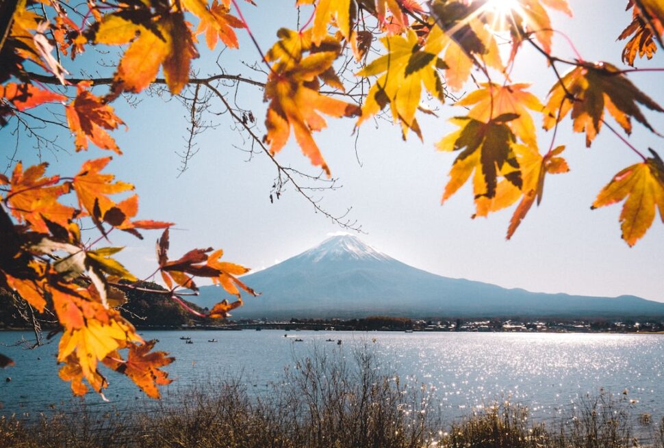 ：kawaguchiko mount fuji reflection lake view