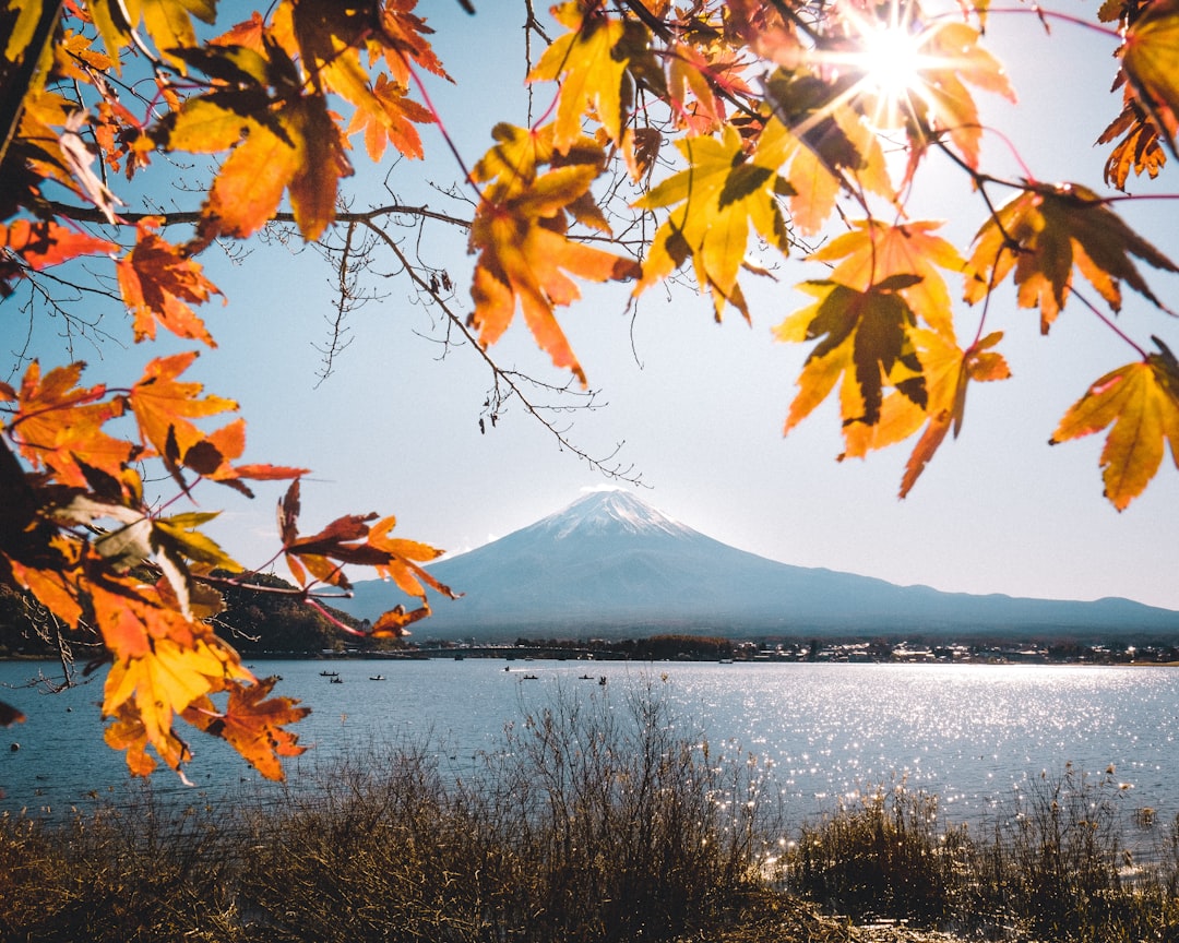 :kawaguchiko mount fuji reflection lake view