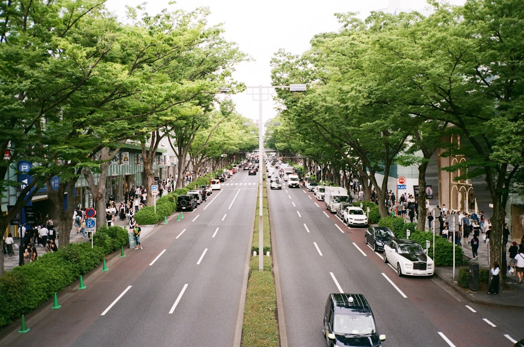 Omotesando: Tree-Lined Luxury — Japan travel