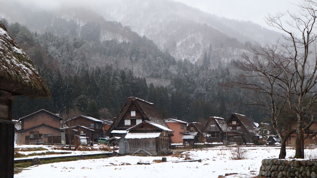：shirakawa-go gassho-zukuri farmhouses winter snow