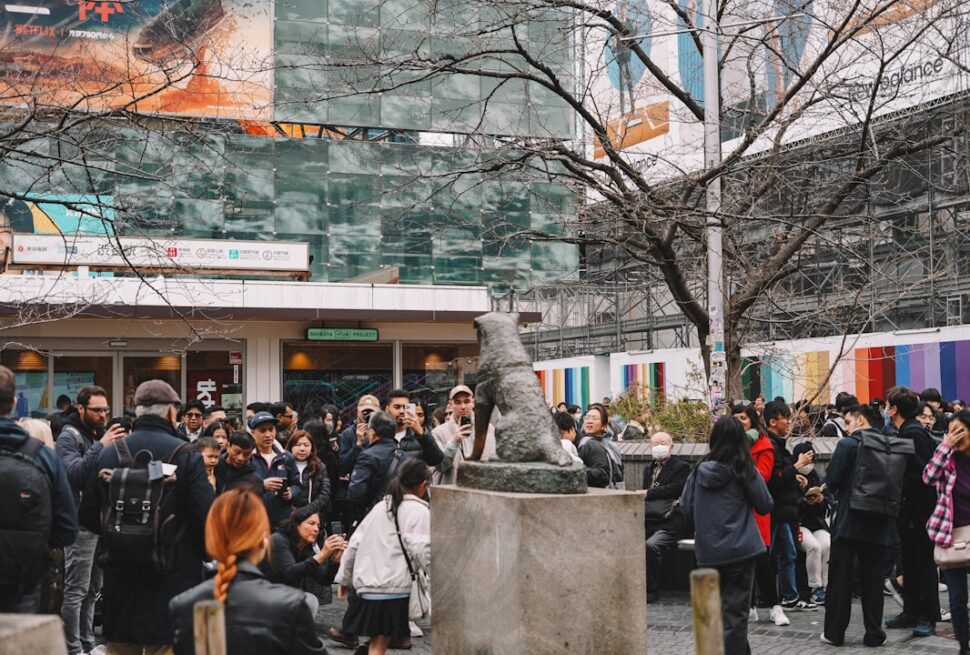 ：hachiko statue shibuya station meeting point
