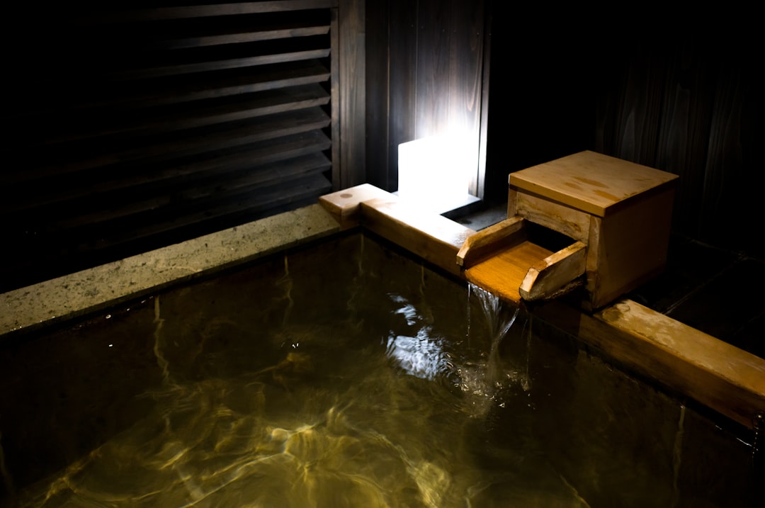 Public Baths vs. Ryokan — Japan travel