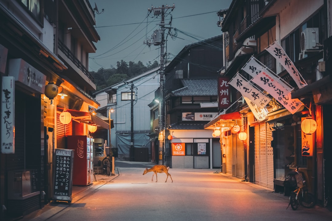 Village Highlights and Views — Japan travel