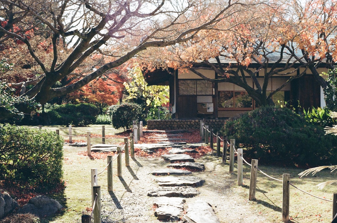 :studio ghibli park nagoya forest area