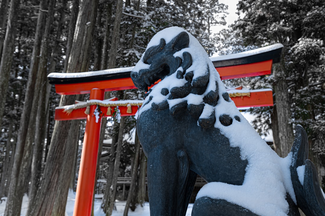 Winter Wonders: Powder Snow and Ice Sculptures — Japan travel