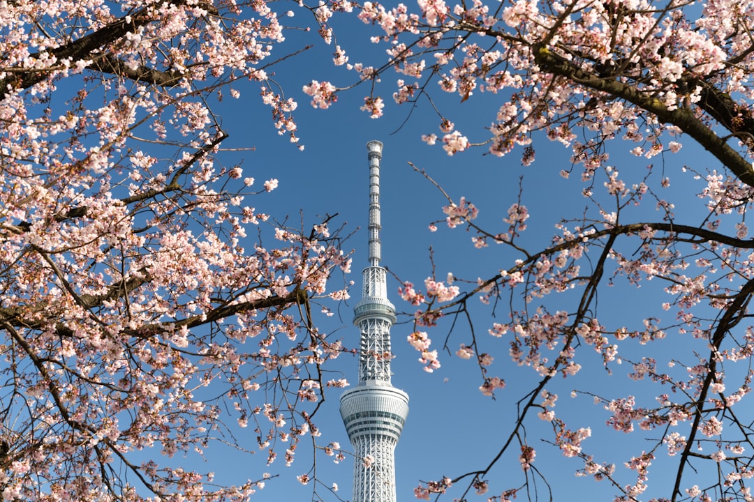 The Engineering of Tokyo Skytree — Japan travel
