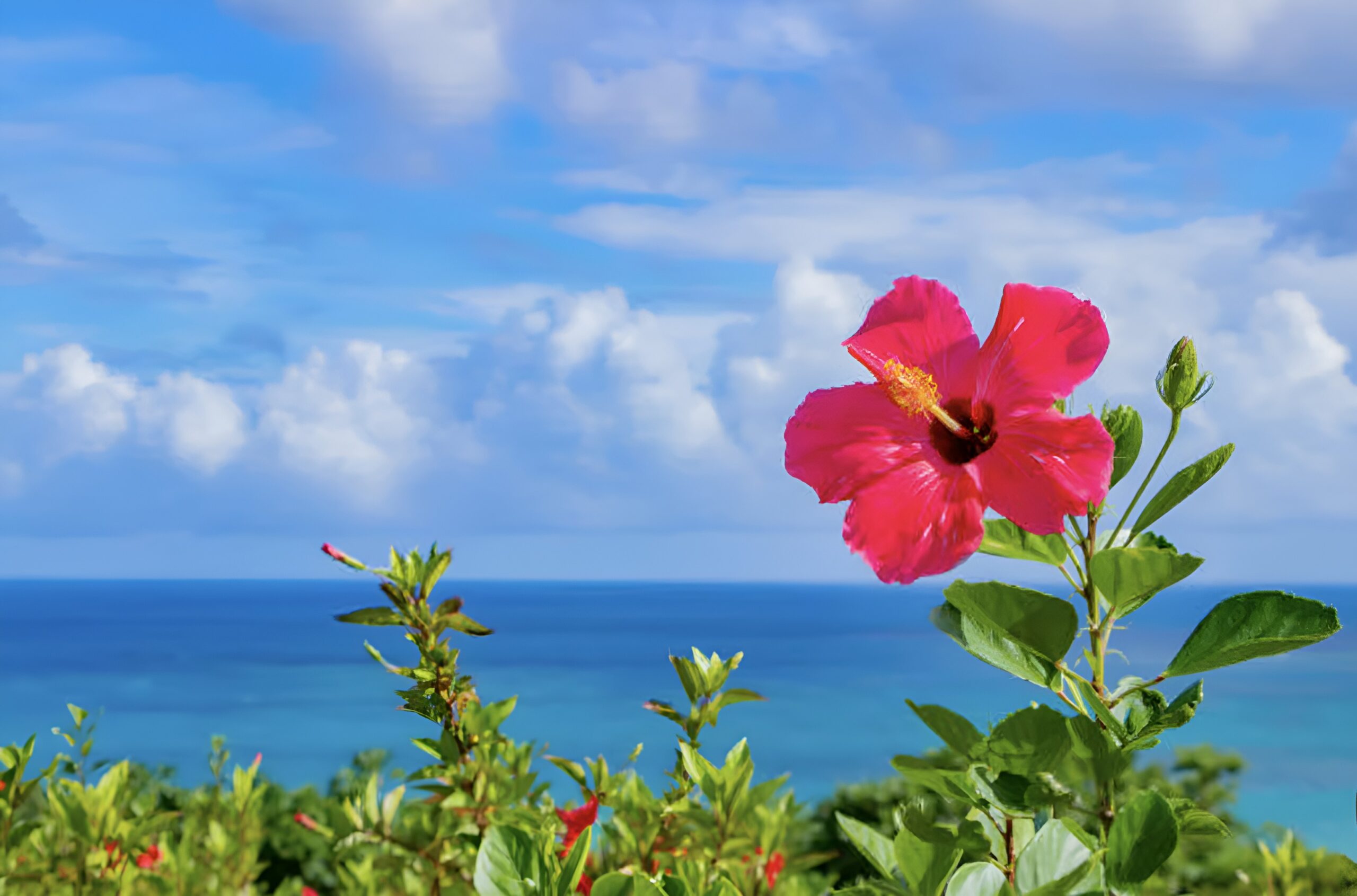 Okinawa Private Day Tour