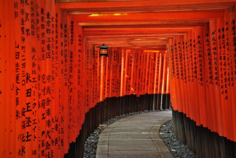 ：senbon torii tunnel of vermilion gates at fushimi inari shrine kyoto
