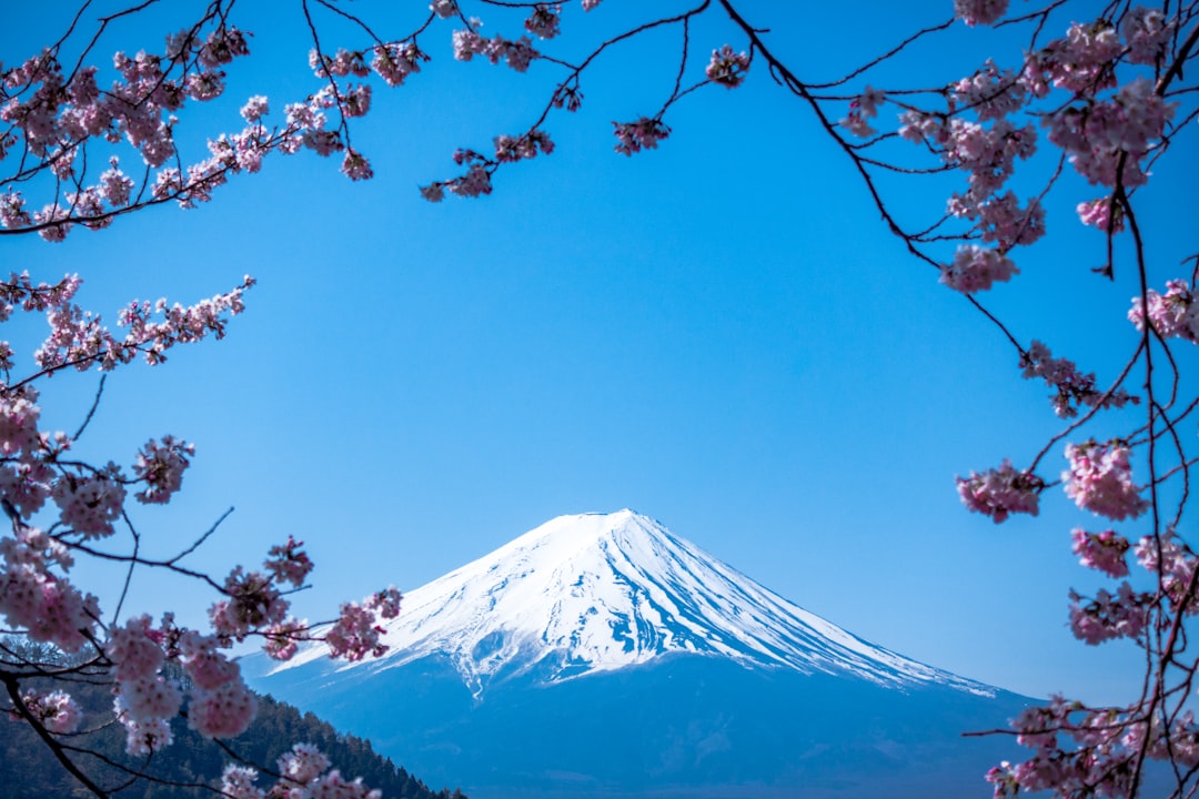 Seasonal Health — Japan travel