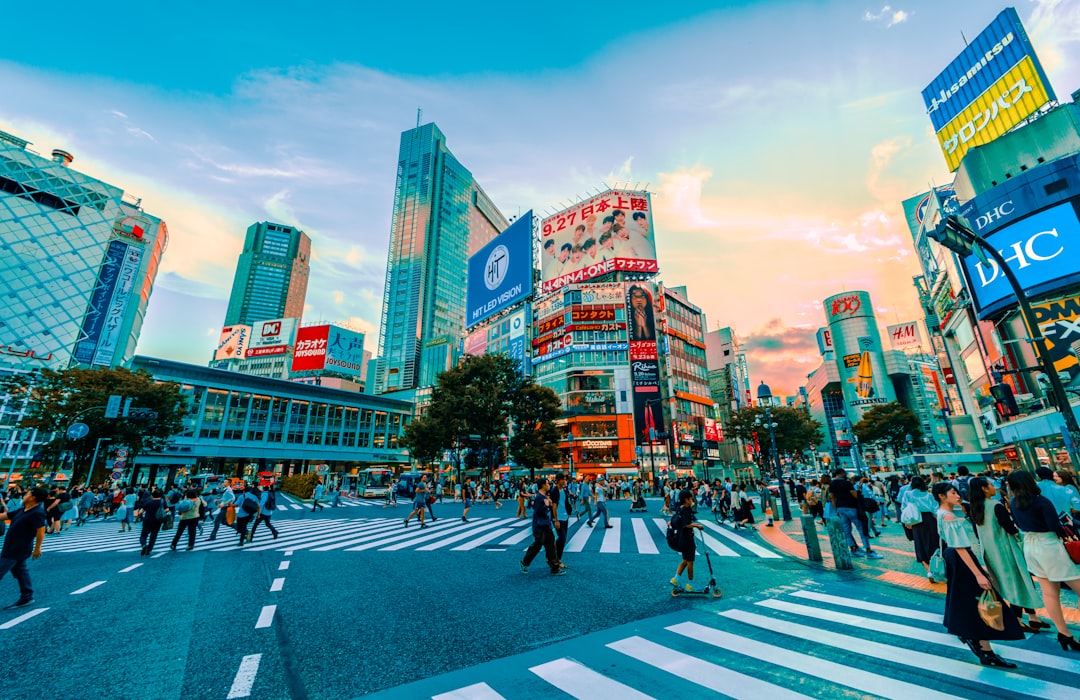 Application and Screening — Japan travel