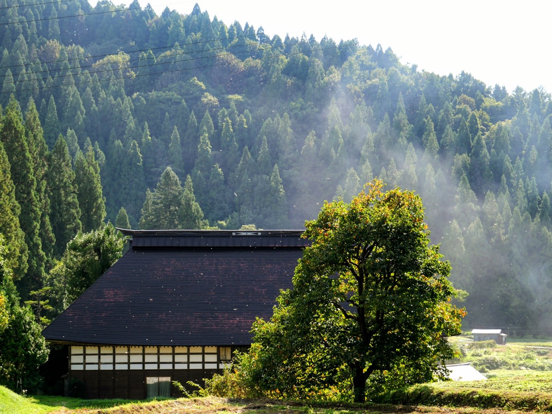 :outdoor rotenburo bath surrounded by forest in hakone