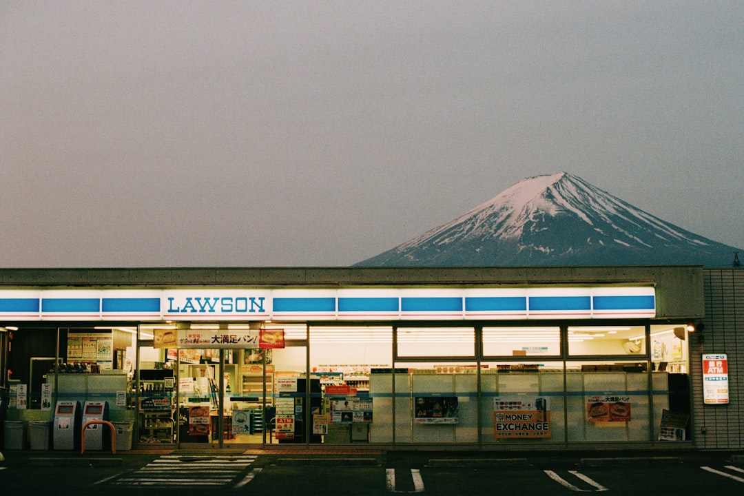 Filling In the Waybill — Japan travel