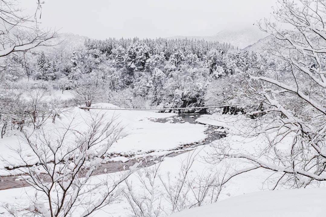 :outdoor rotenburo bath at sainokawara park in kusatsu