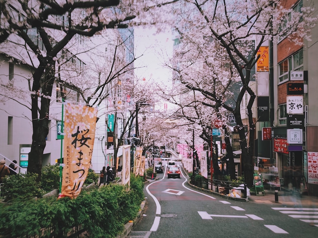 Driving on the Left — Japan travel