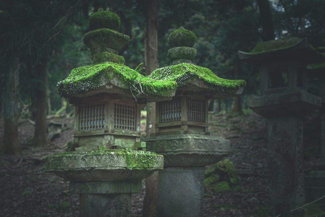 :mossy otsuka stone altars near the summit of mount inari