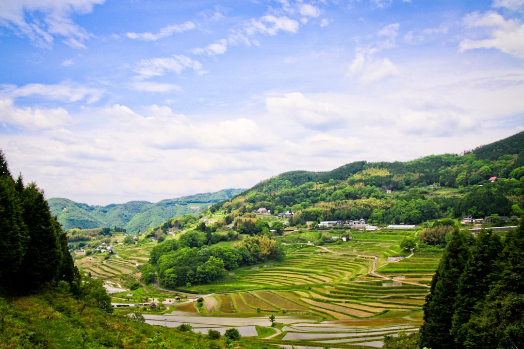 Wild-Caught and Farmed — Japan travel