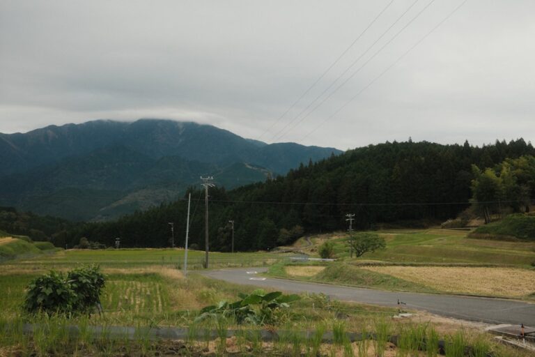 ：rental car driving on a rural road in the japanese countryside