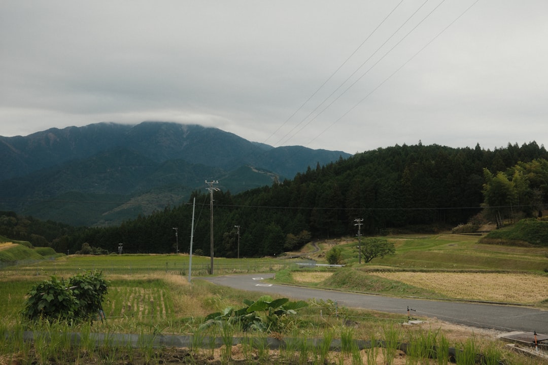 ：rental car driving on a rural road in the japanese countryside