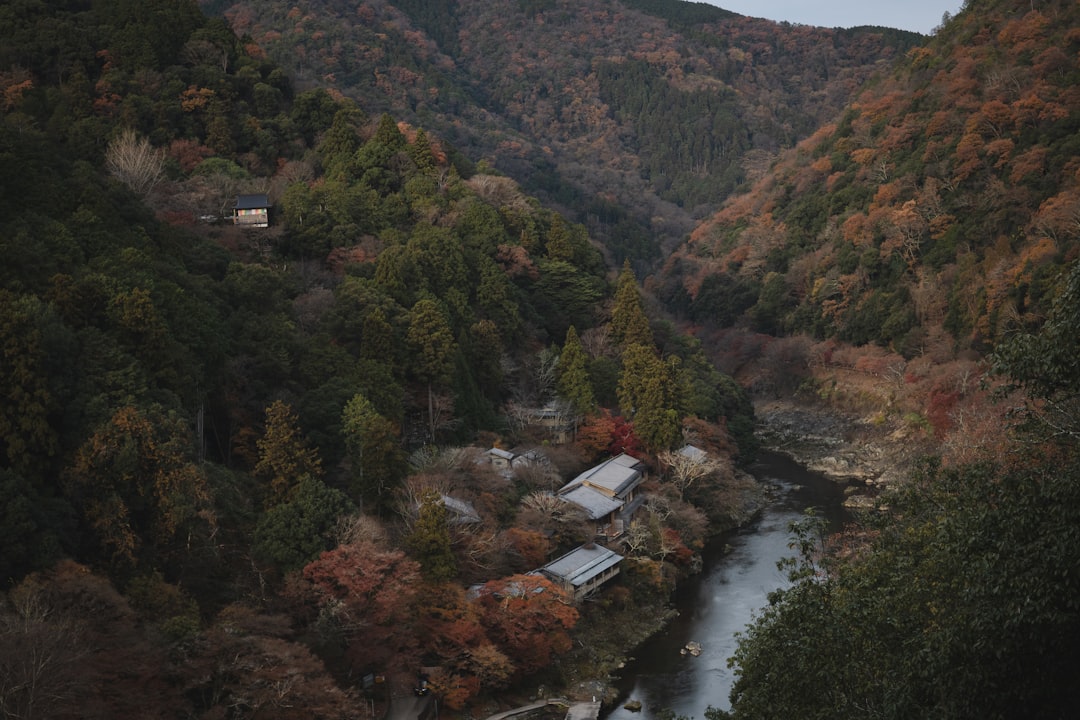 :rokko arima ropeway crossing the valley above arima onsen