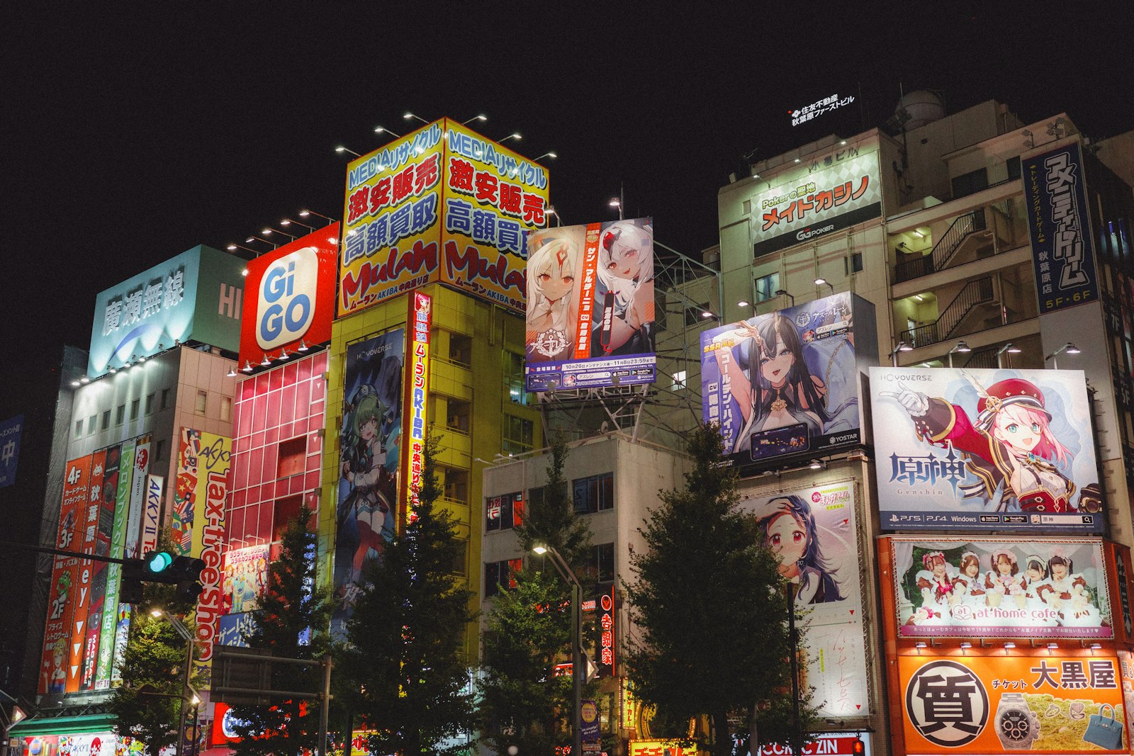 :things to do in akihabara electric town neon signage