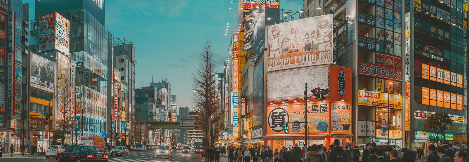 ：anime tokyo akihabara electric town street